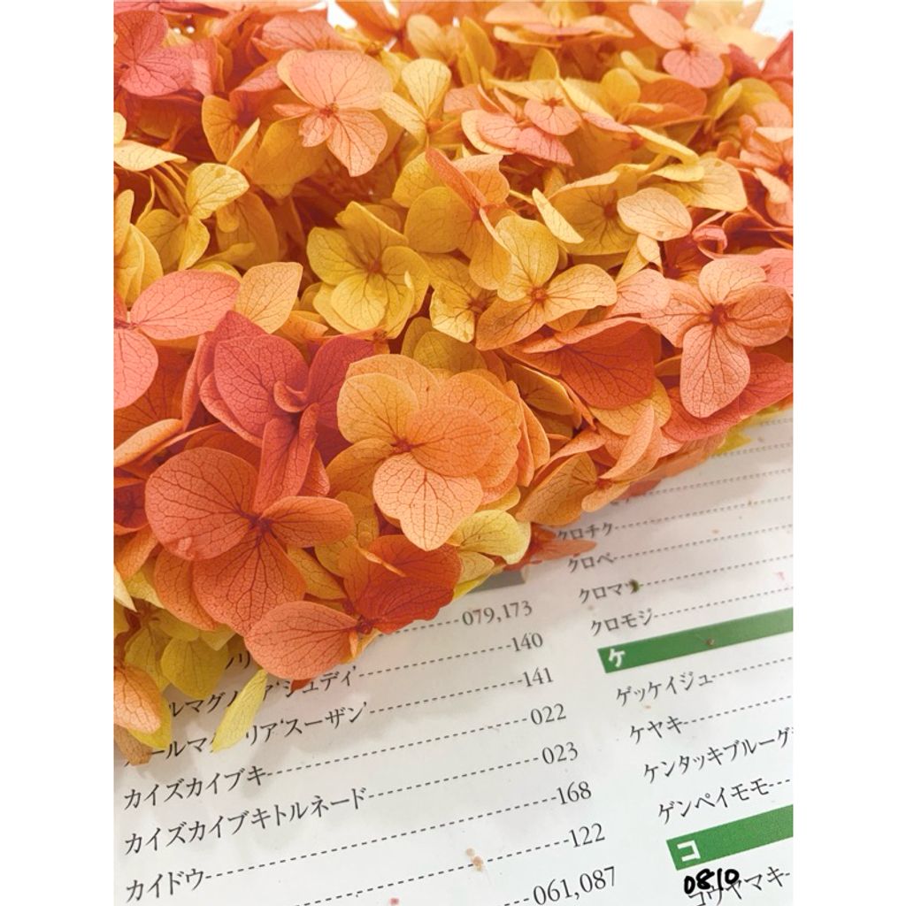 tw-11134207-7r990-lxk05c2olyk035