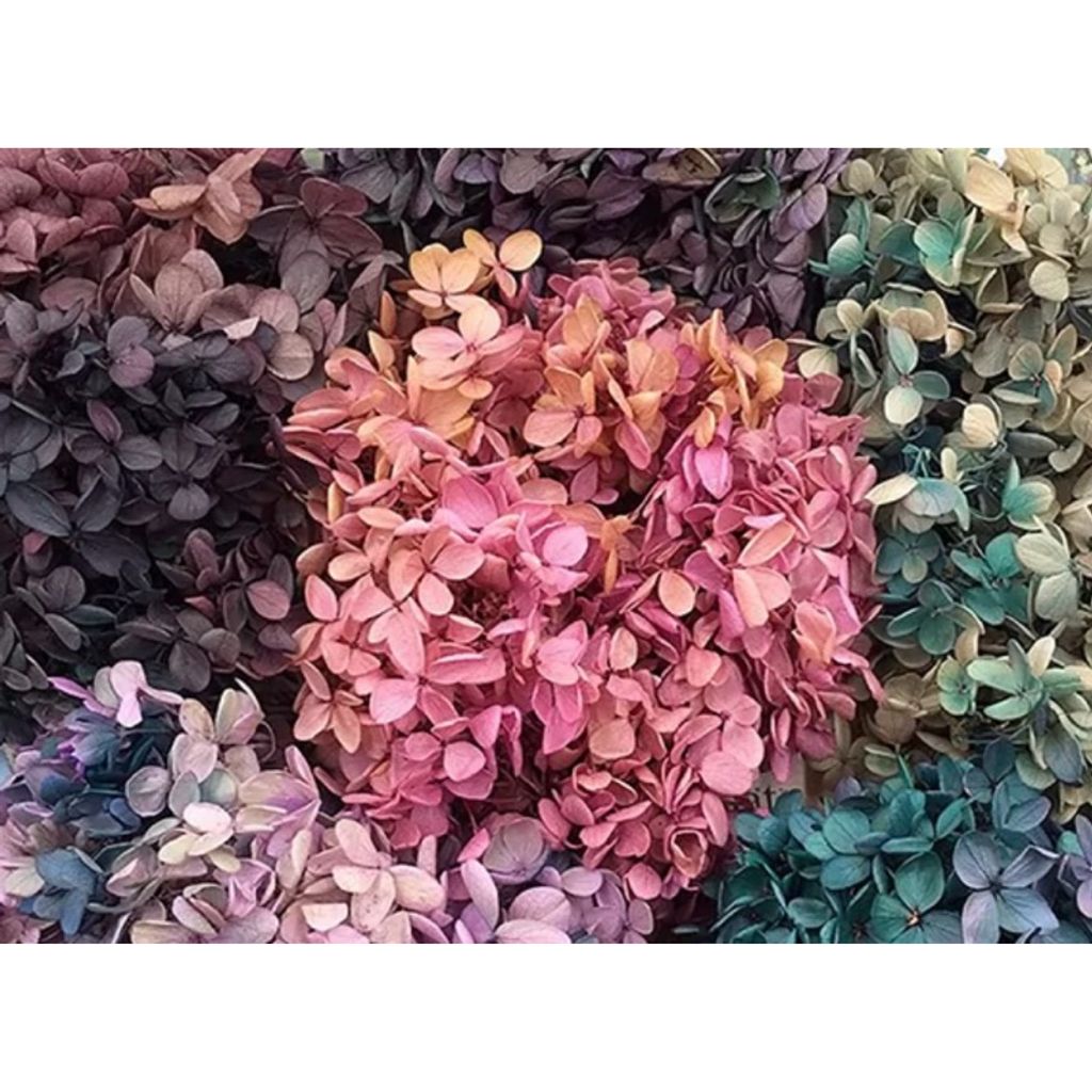 tw-11134207-7r98w-lxk05c2oj5ly54