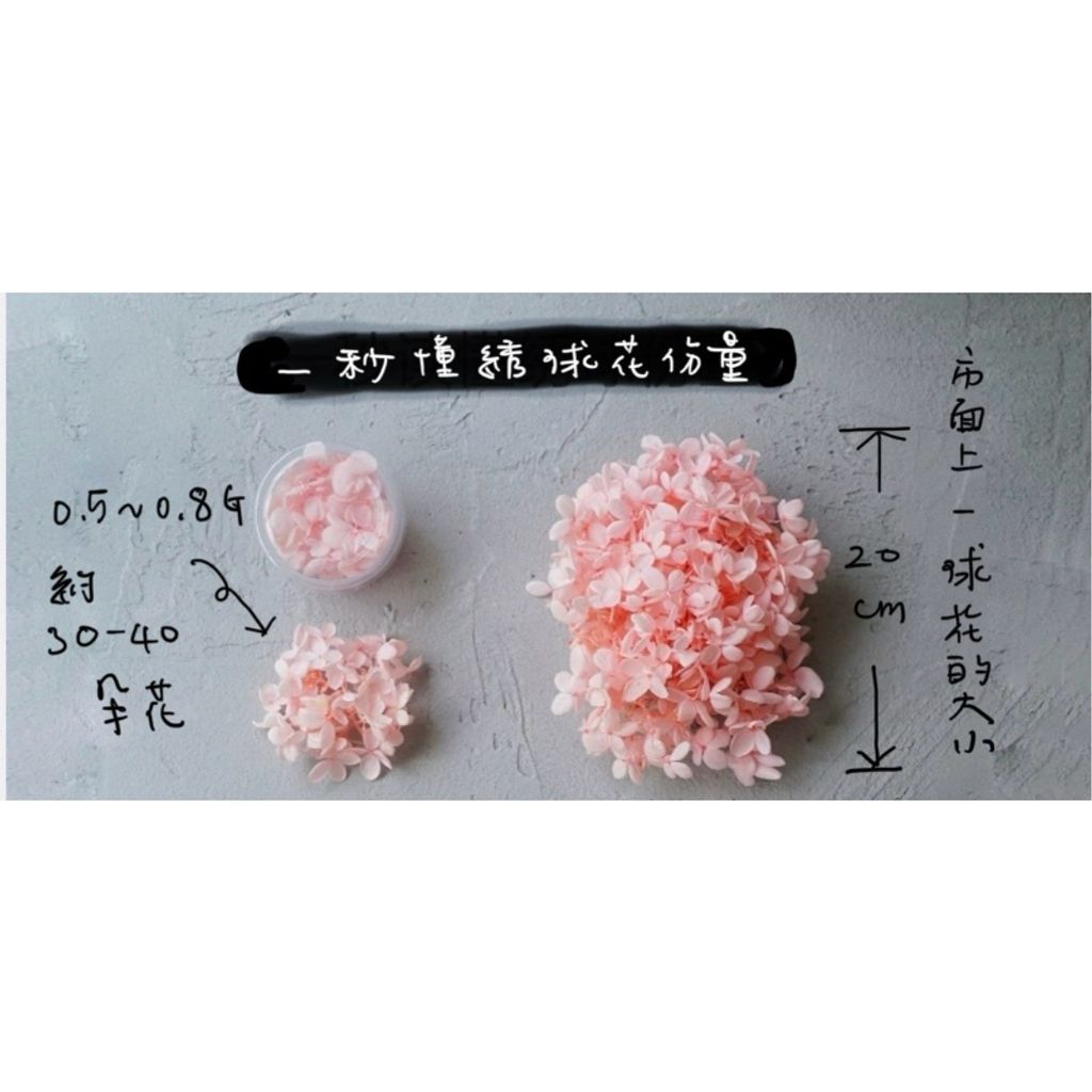 tw-11134207-7r98z-lxk05c2o3pd2a5