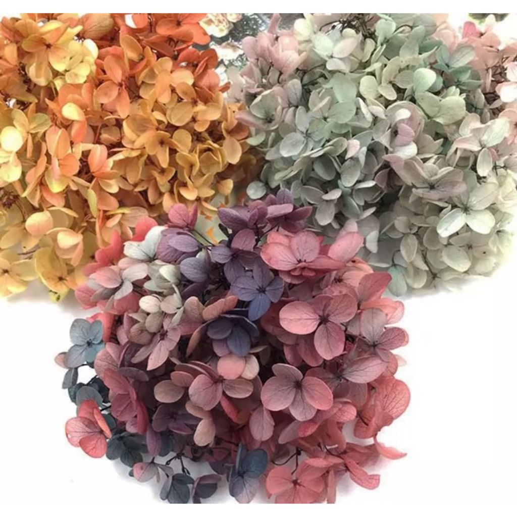 tw-11134207-7r98x-lxk05c2no946bd