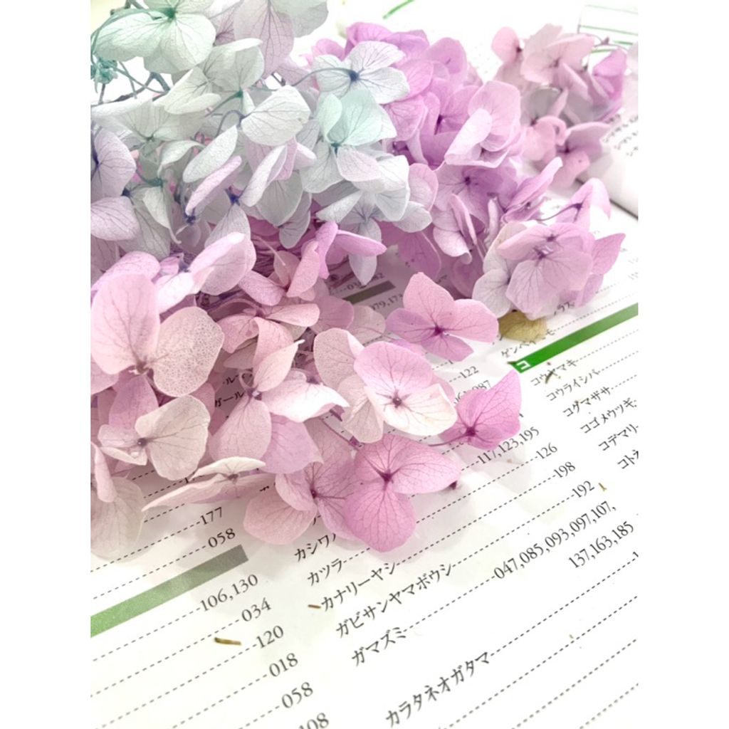 tw-11134207-7r98x-lxk05c2okjzk03