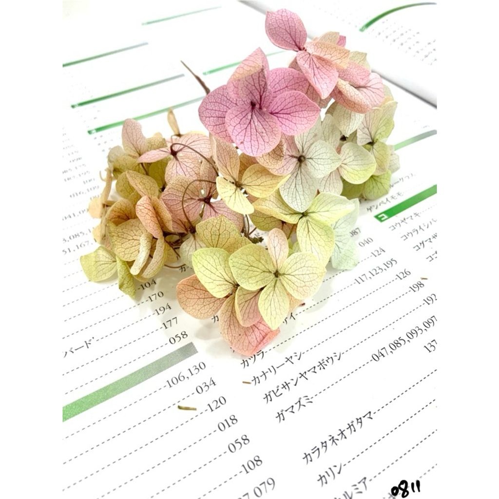 tw-11134207-7r98p-lxk05c3hn19i3b