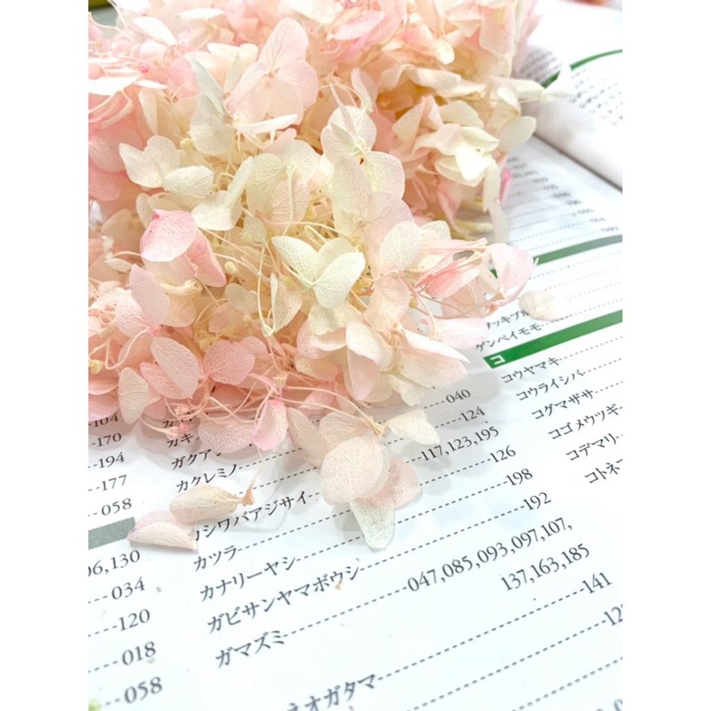 tw-11134207-7r98x-lxk05c55kldc38