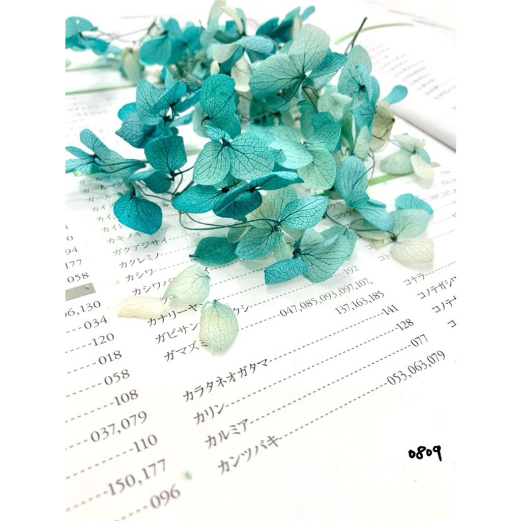 tw-11134207-7r98z-lxk05c2npnomb9