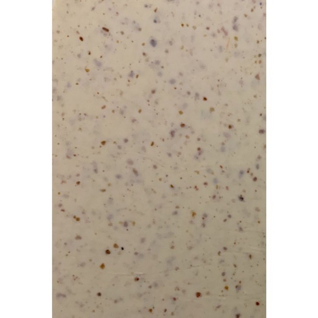 342551e81d782eebb5bf0aad927679dc