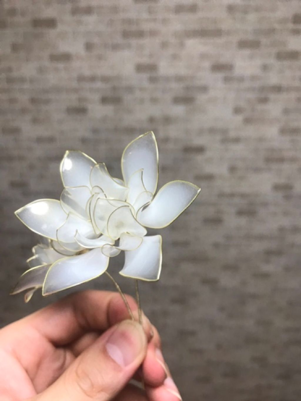 05ce0ad05ebf240167f0bc43f9371402