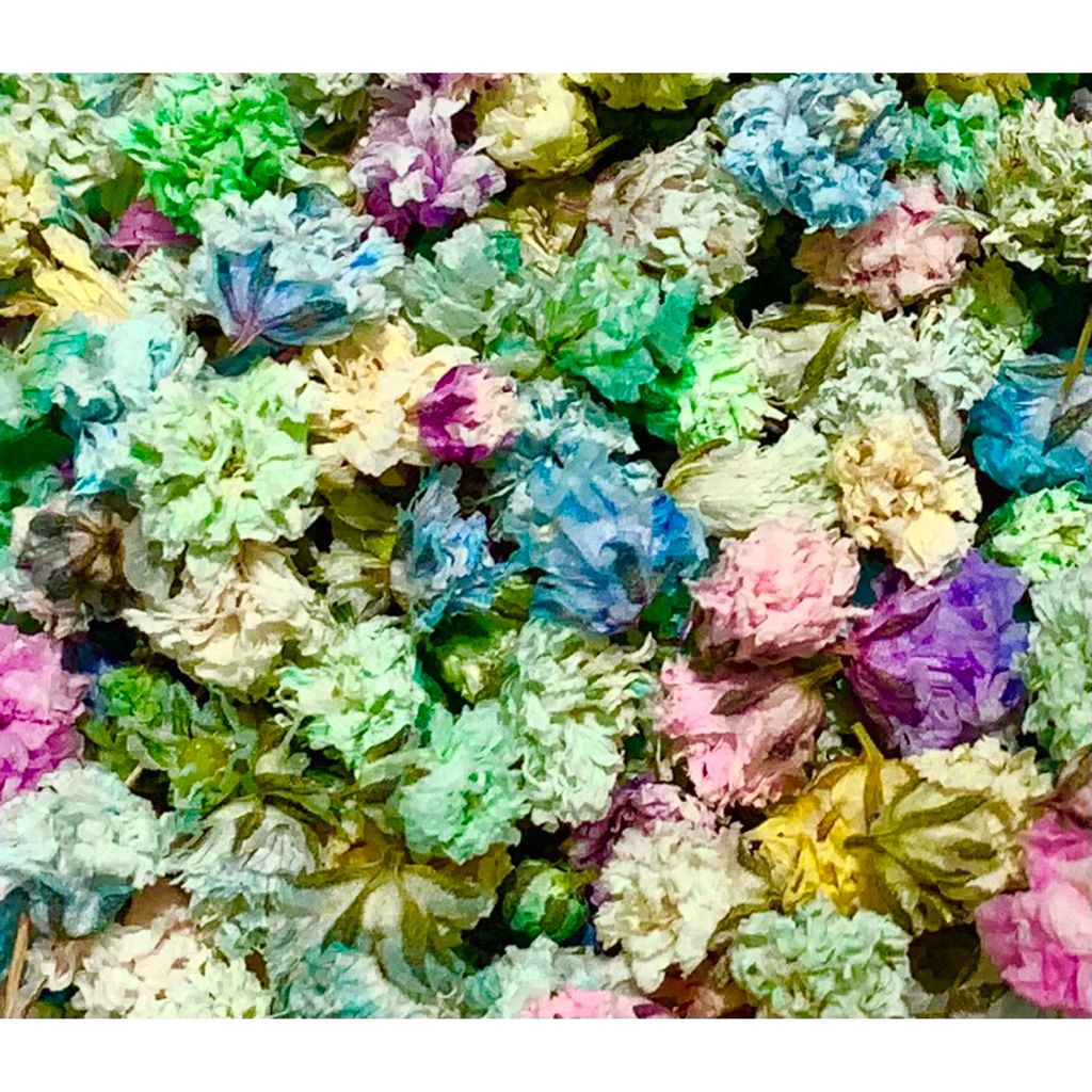 tw-11134207-7r98u-lvvf74fp6khcd1