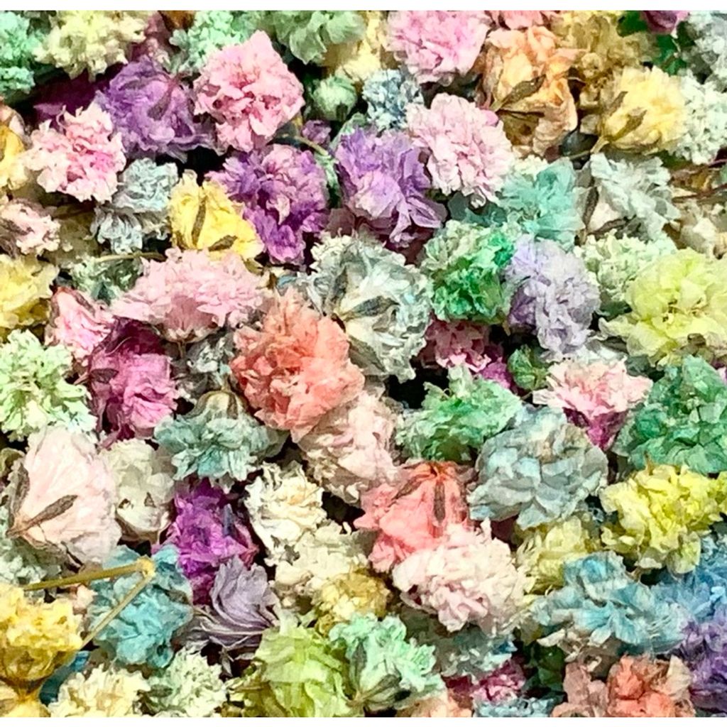 tw-11134207-7r98t-lvvf74fp7z1s5c