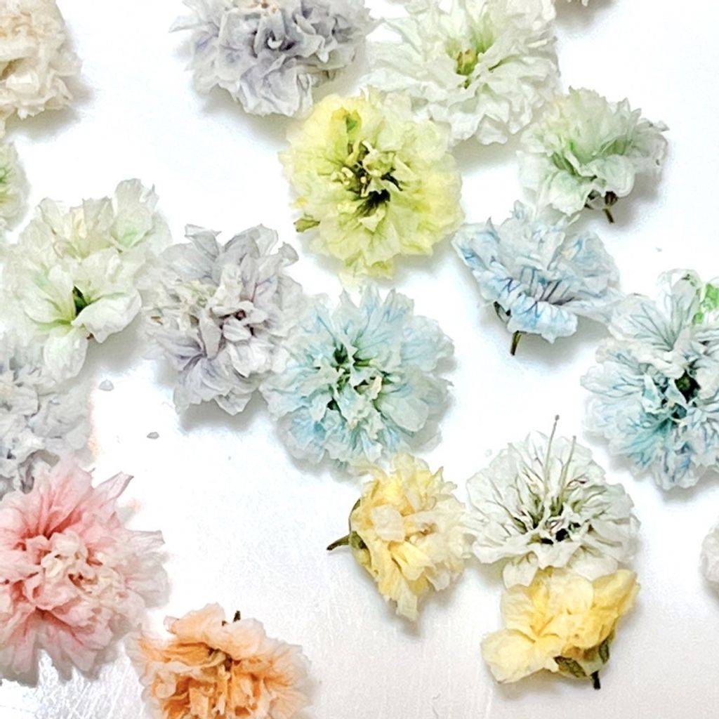 tw-11134201-7quky-lesx38yyj3nr0c