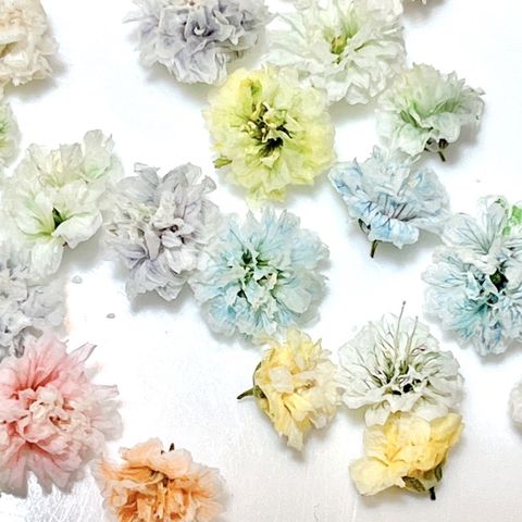 tw-11134201-7quky-lesx38yyj3nr0c