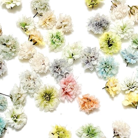 tw-11134201-7qukx-lesx38z8ehc7fc