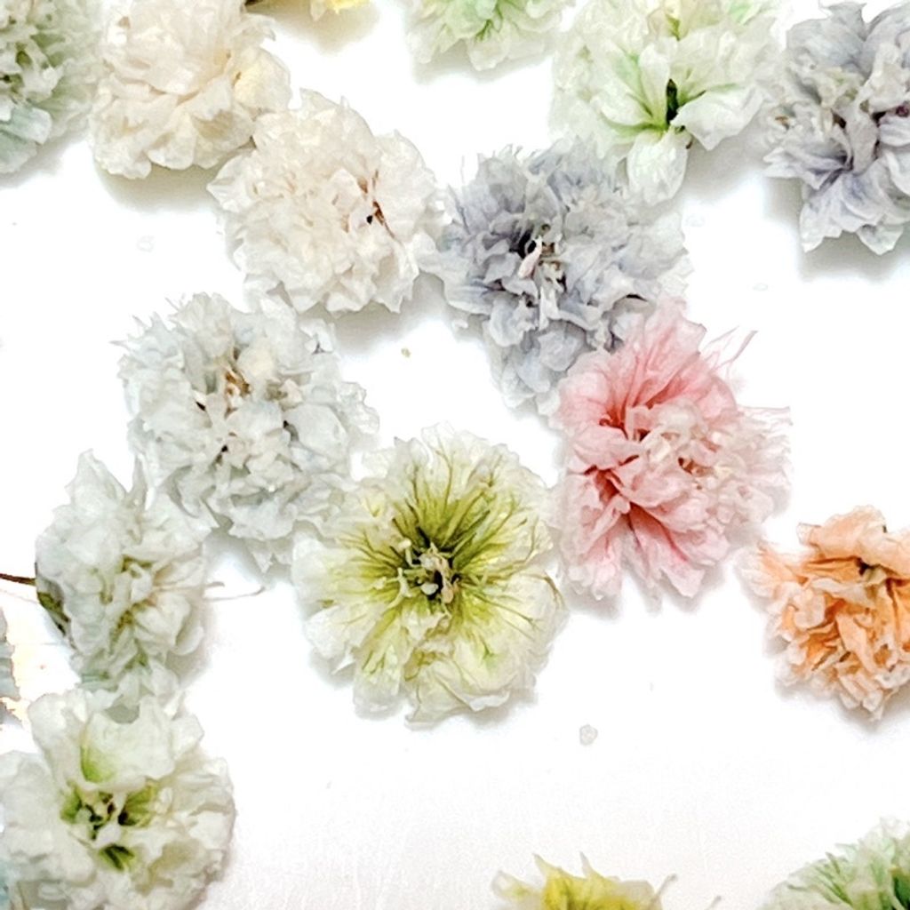 tw-11134201-7quky-lesx38yefp6v0c