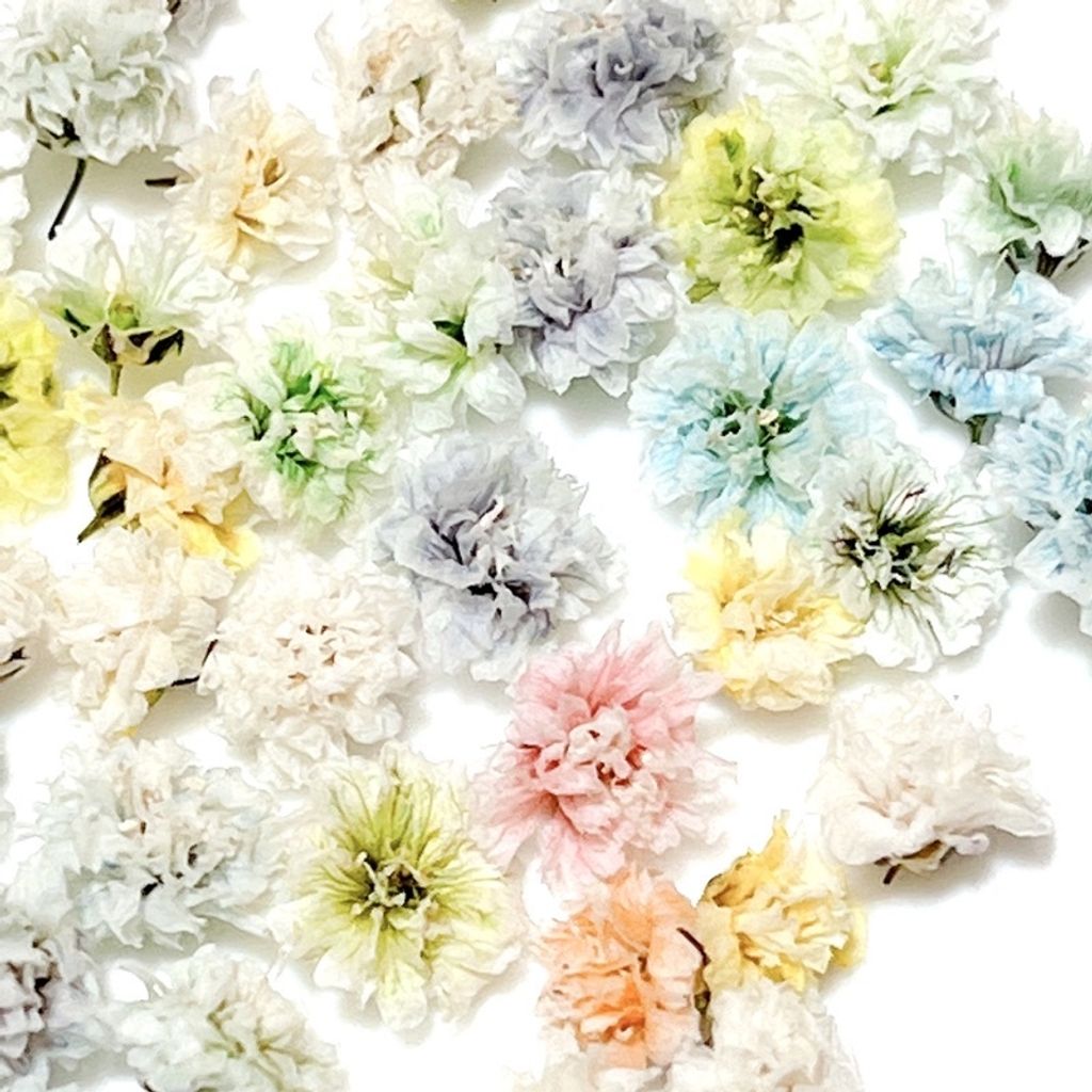 tw-11134201-7qukw-lesx38yyhp3b4a