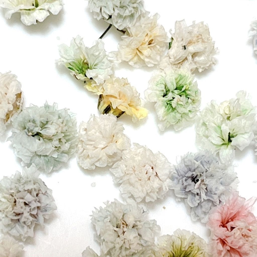 tw-11134201-7qukx-lesx38yofakn97