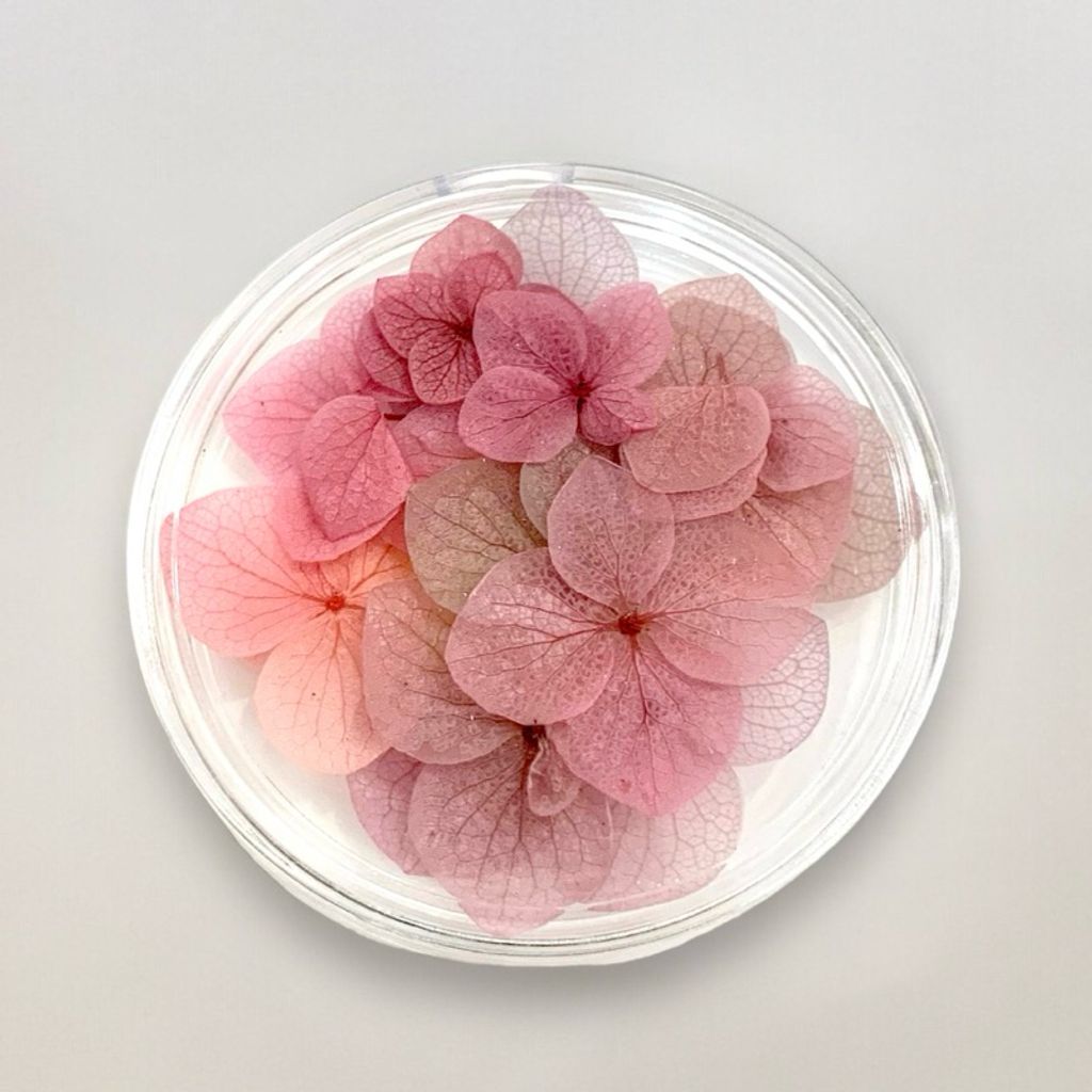 tw-11134207-7r98s-lvsmnswkybivca