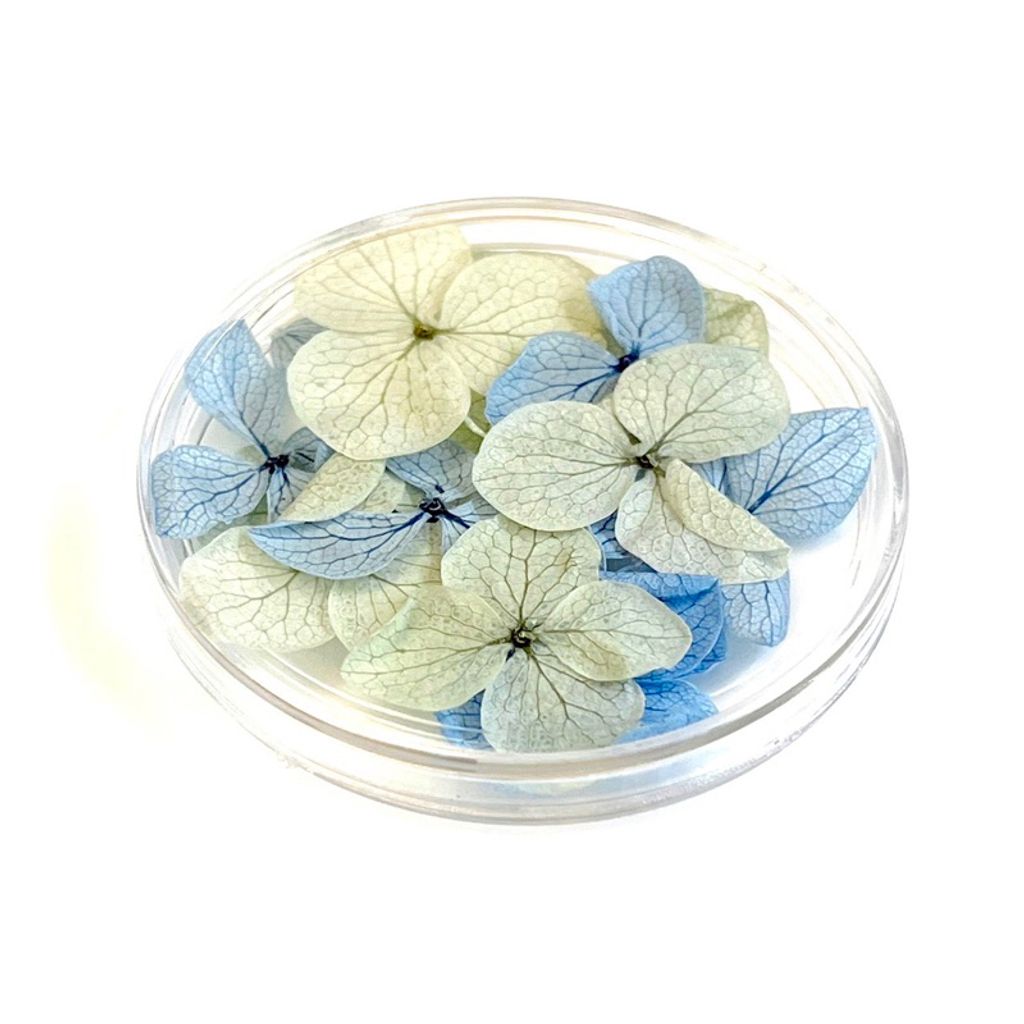 tw-11134207-7quky-lgvq06j8d92k2f