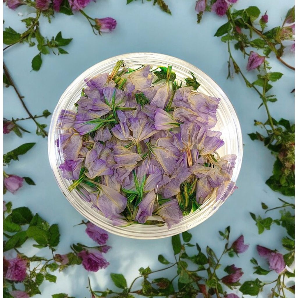 tw-11134207-7r98o-lvbvtq3a2p2m30