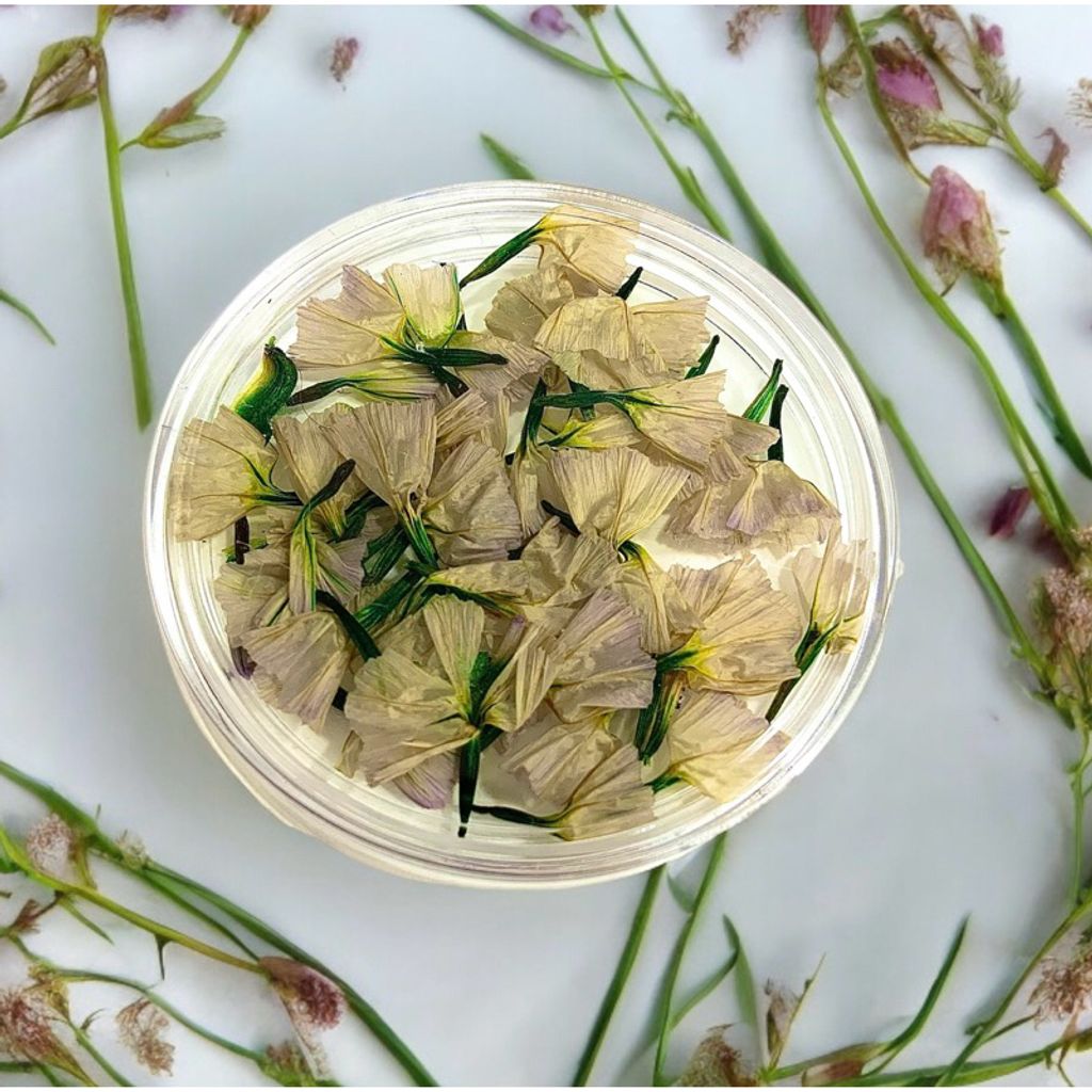 tw-11134207-7r98z-lvbvuydl6t0u94