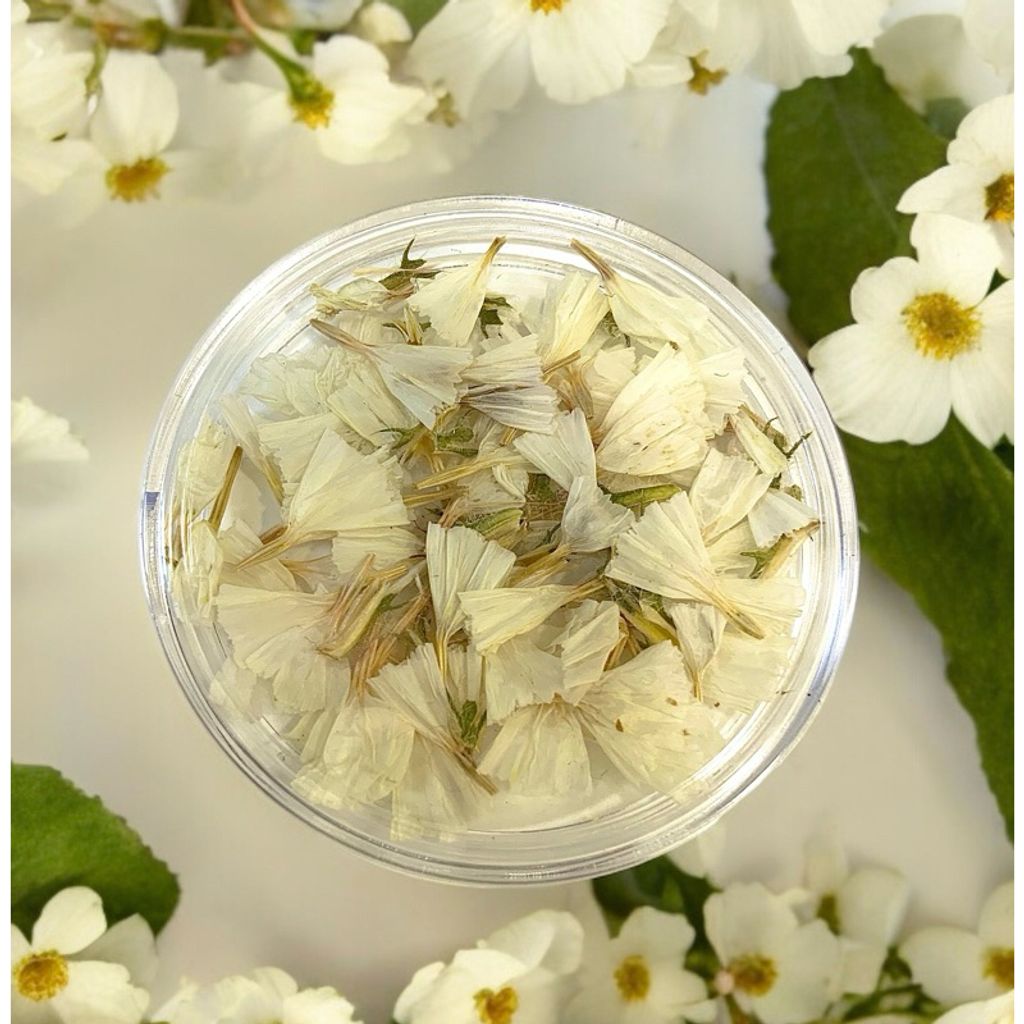 tw-11134207-7r98y-lvbvg6e5olta9f