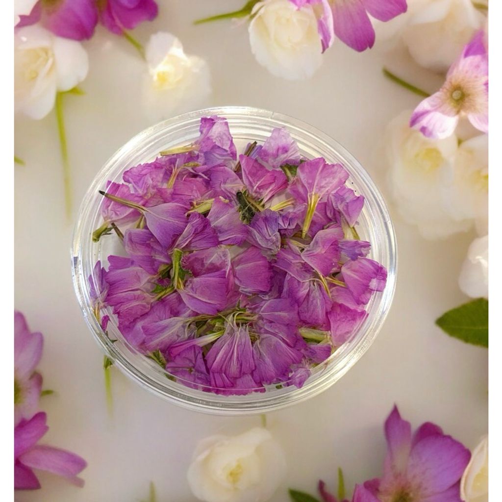 tw-11134207-7r98s-lvbvuydl87la5b