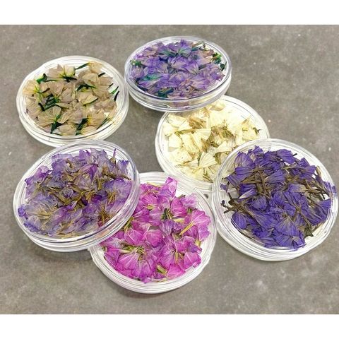 tw-11134207-7r98o-lvbvjw2s1wvte6