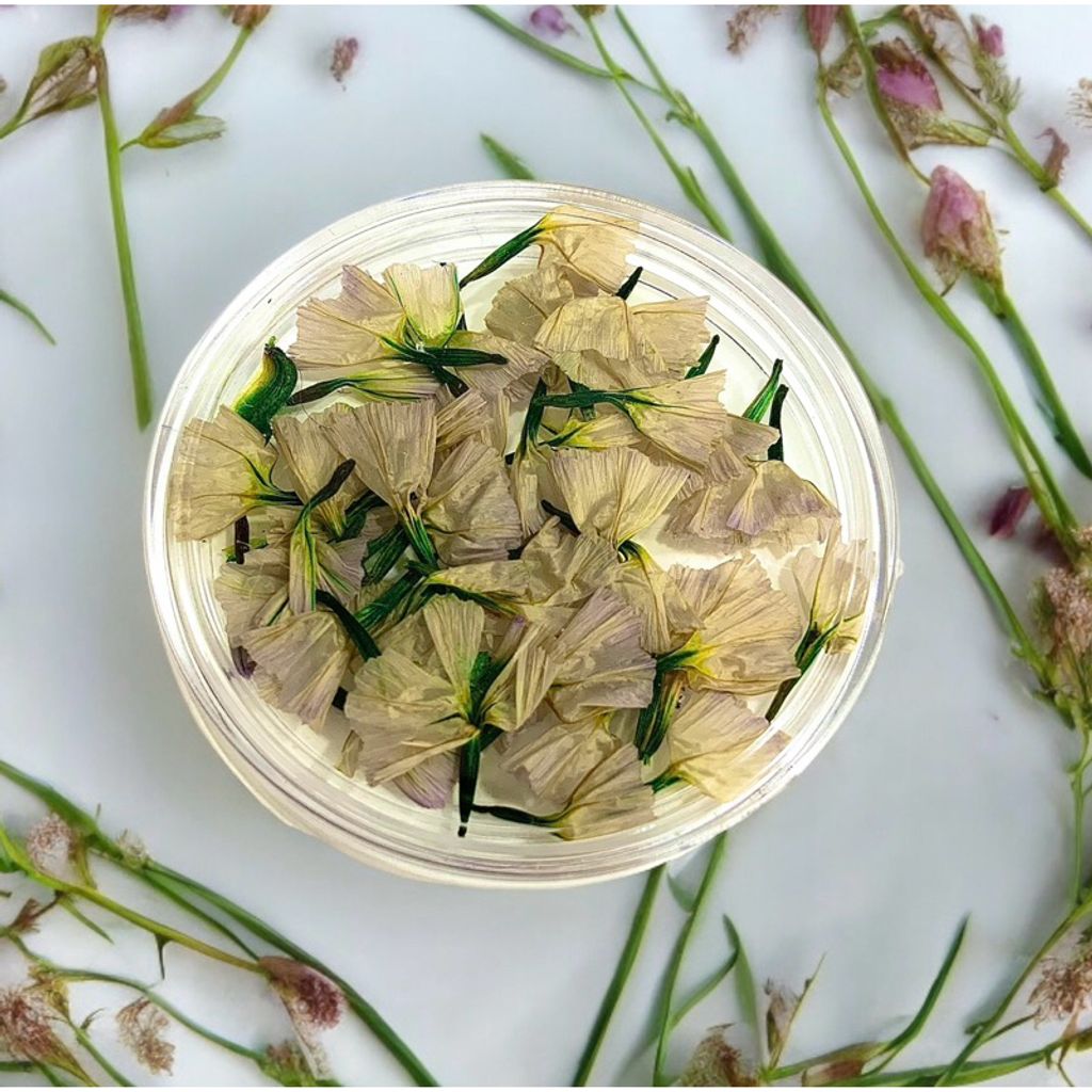 tw-11134207-7r98v-lvbvjw3w0ajy4e