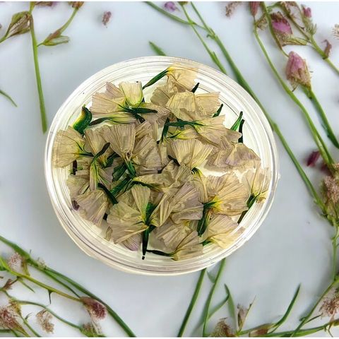 tw-11134207-7r98v-lvbvjw3w0ajy4e