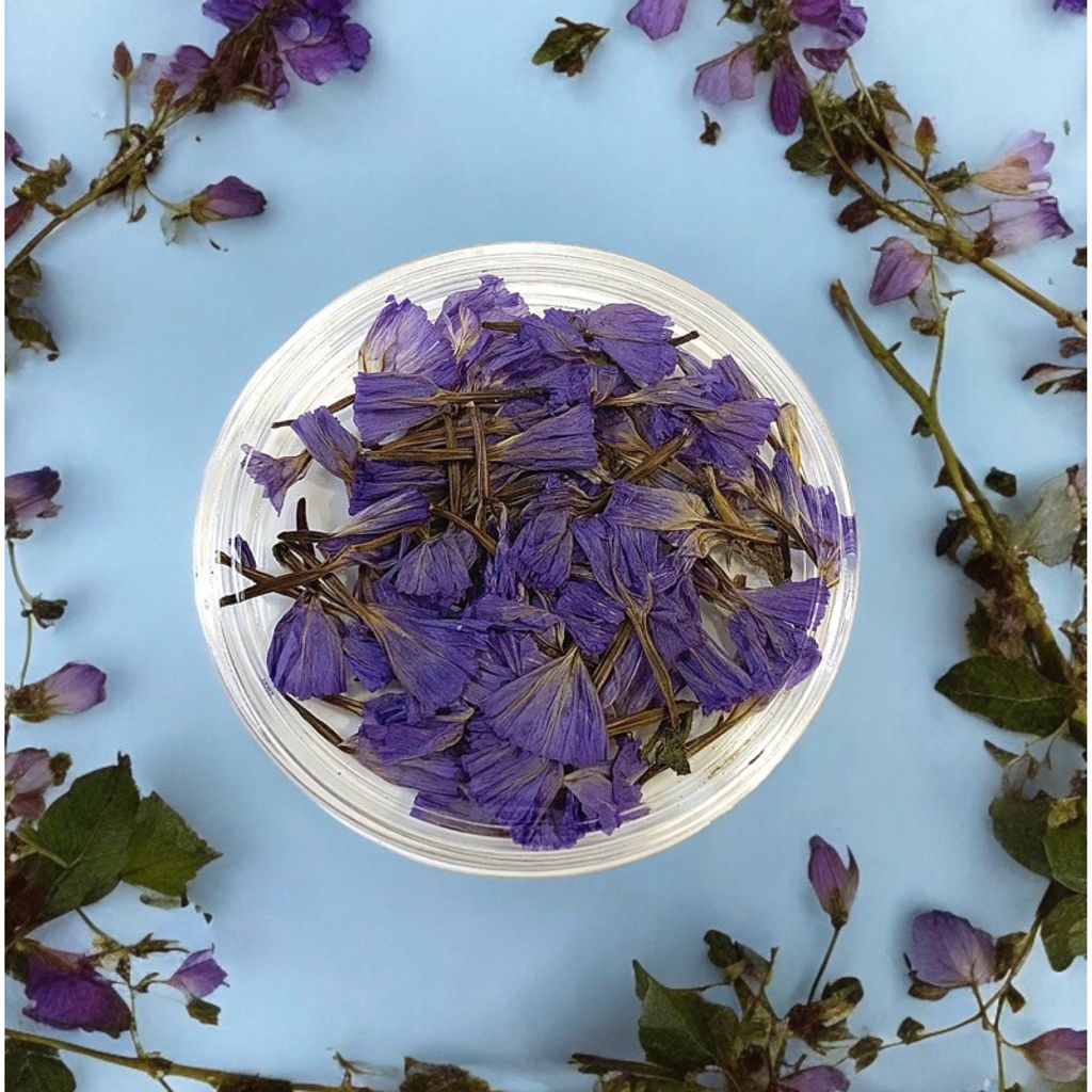 tw-11134207-7r98u-lvbvjw3w1p4e0e