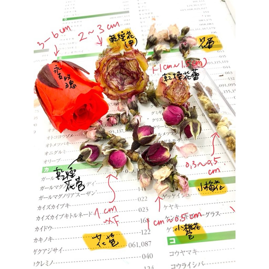 tw-11134207-7r98r-lxlegi1mk8pyf3