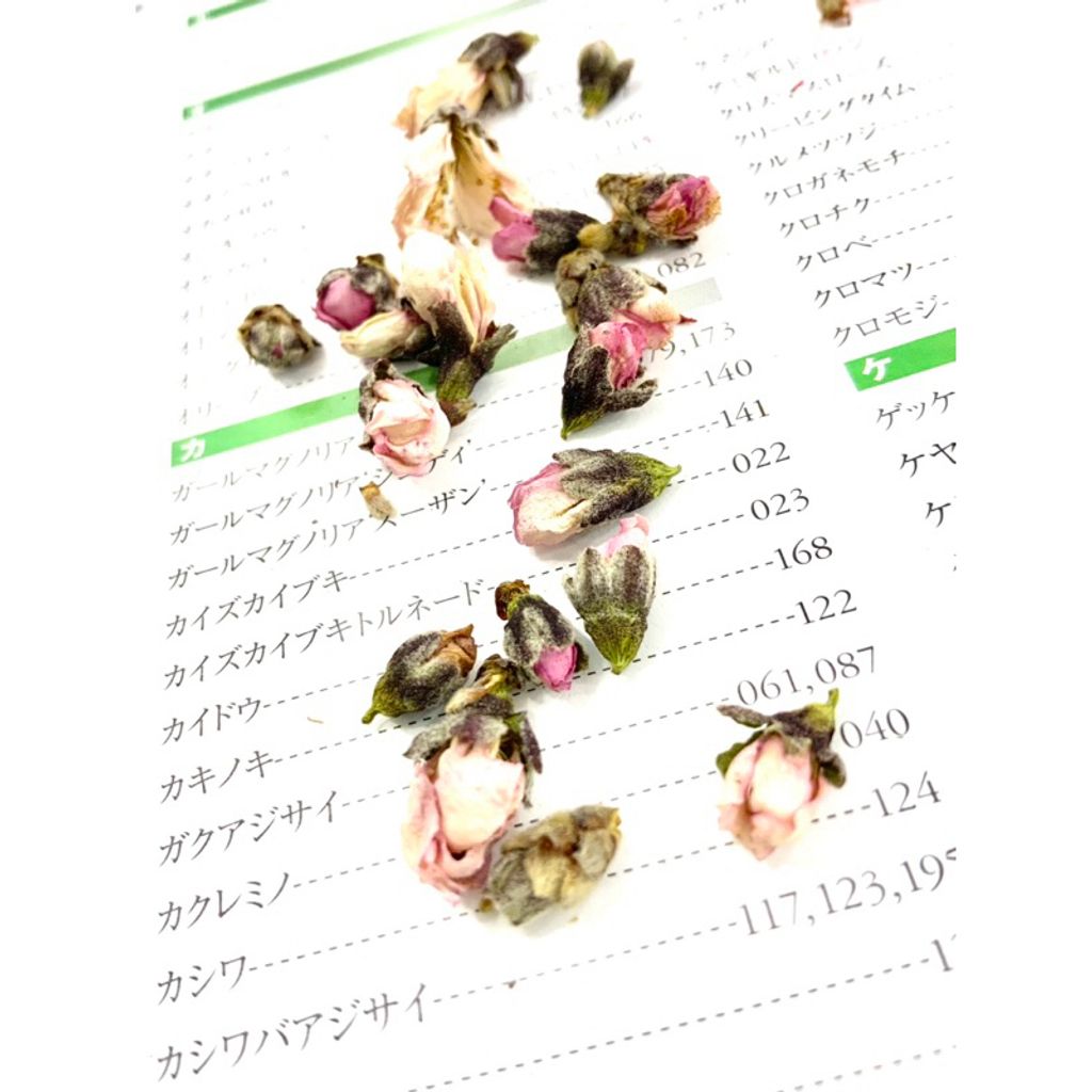 tw-11134207-7r98y-lxlegi1mhfe8cd