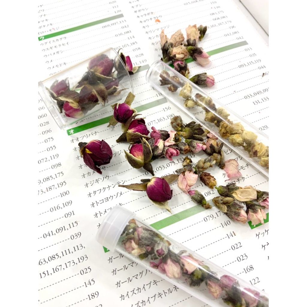 tw-11134207-7r98u-lxlegi1mwvn454