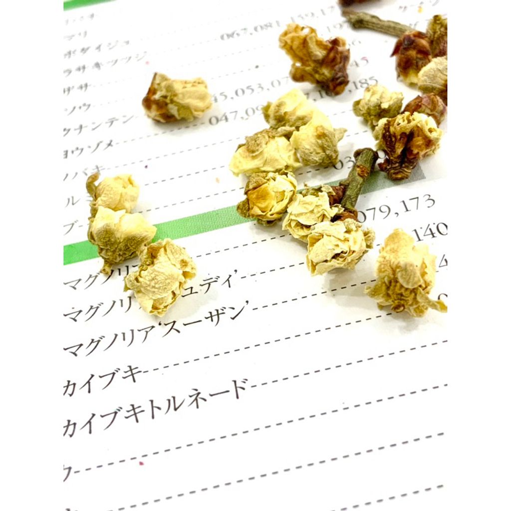 tw-11134207-7r98r-lxlegi2gj0va8e