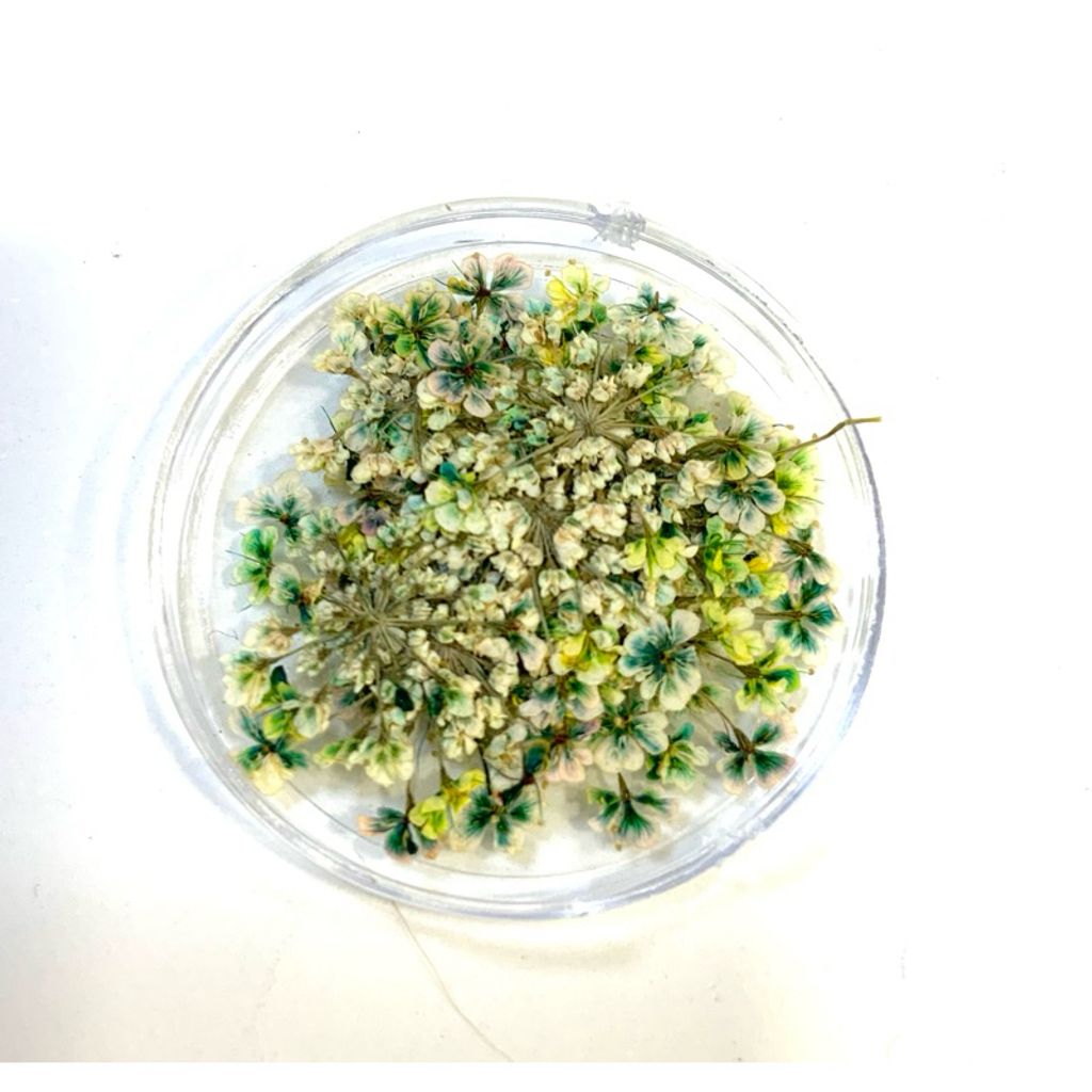 tw-11134207-7r98w-lv1ixm504gfd95