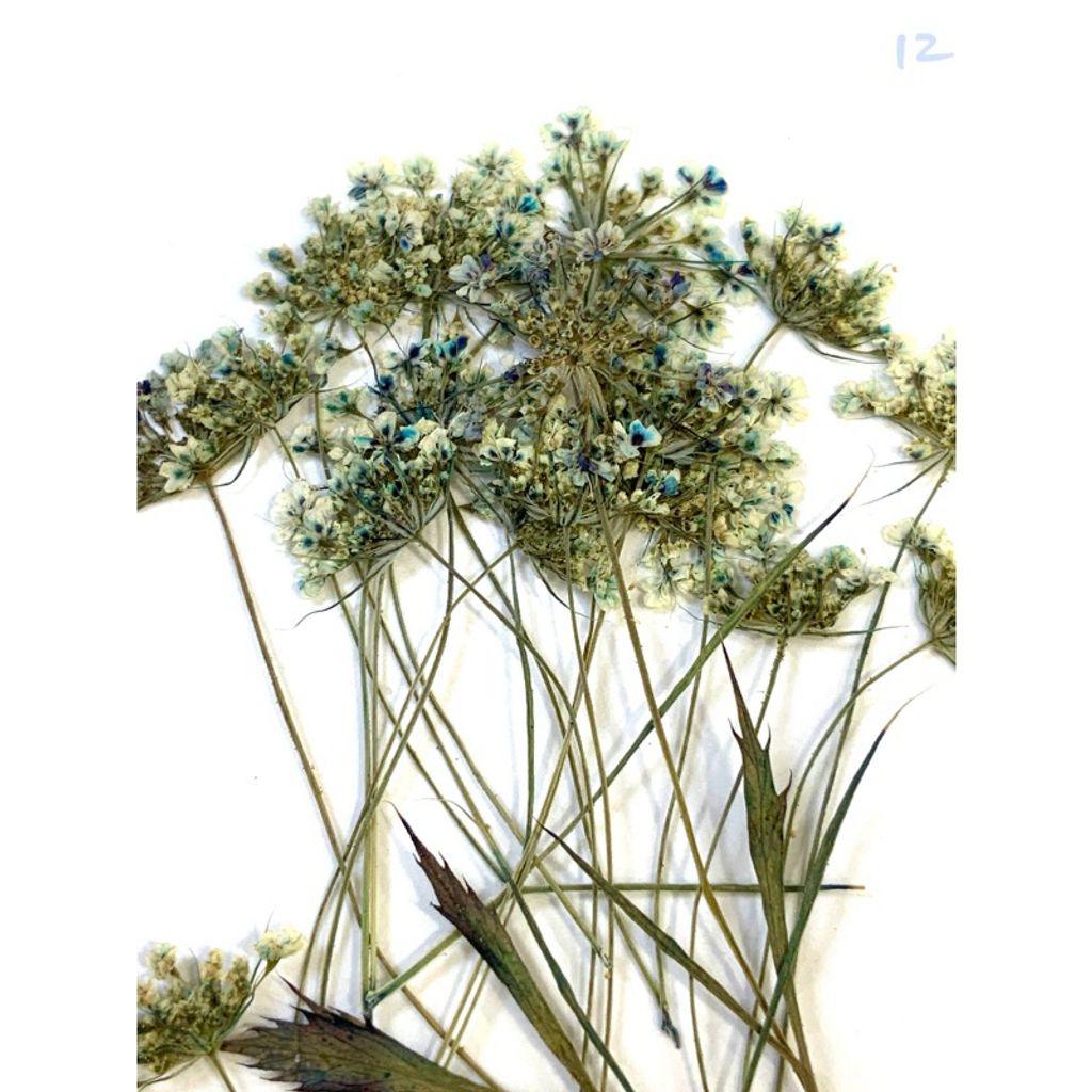 tw-11134207-7r990-lv1iy1hfpfzddd