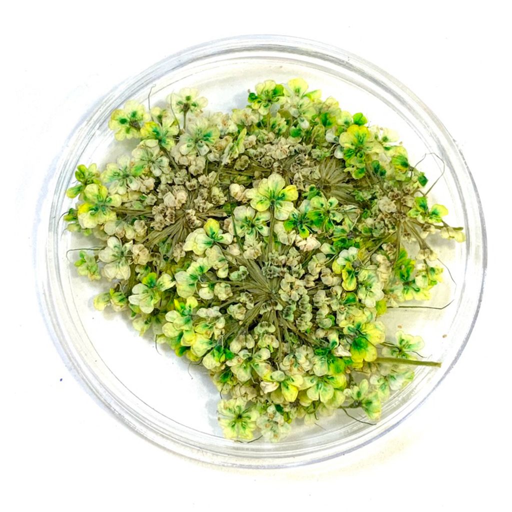 tw-11134207-7r98v-lv1iym65e8mh82