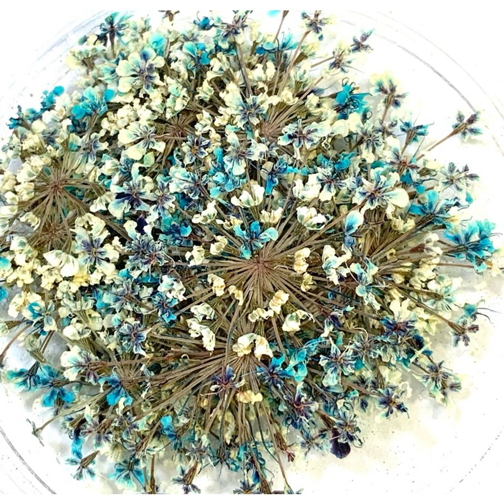 tw-11134207-7r992-lv1iym65fn6x91