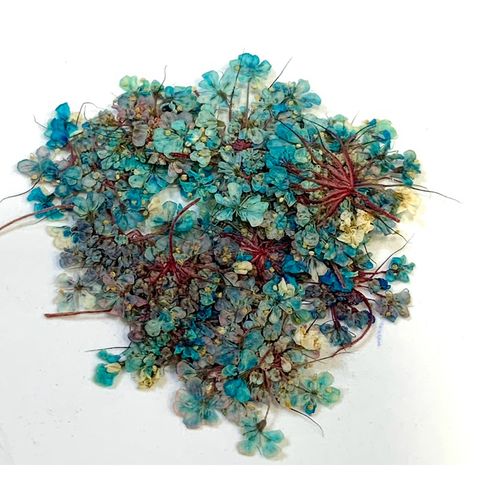 tw-11134207-7r98t-lv1itummgs2x16