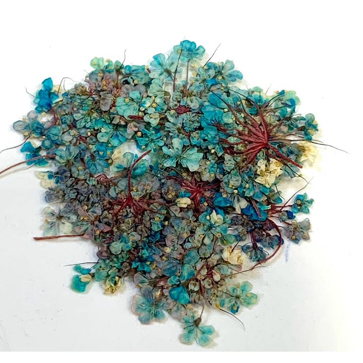 tw-11134207-7r98t-lv1itummgs2x16