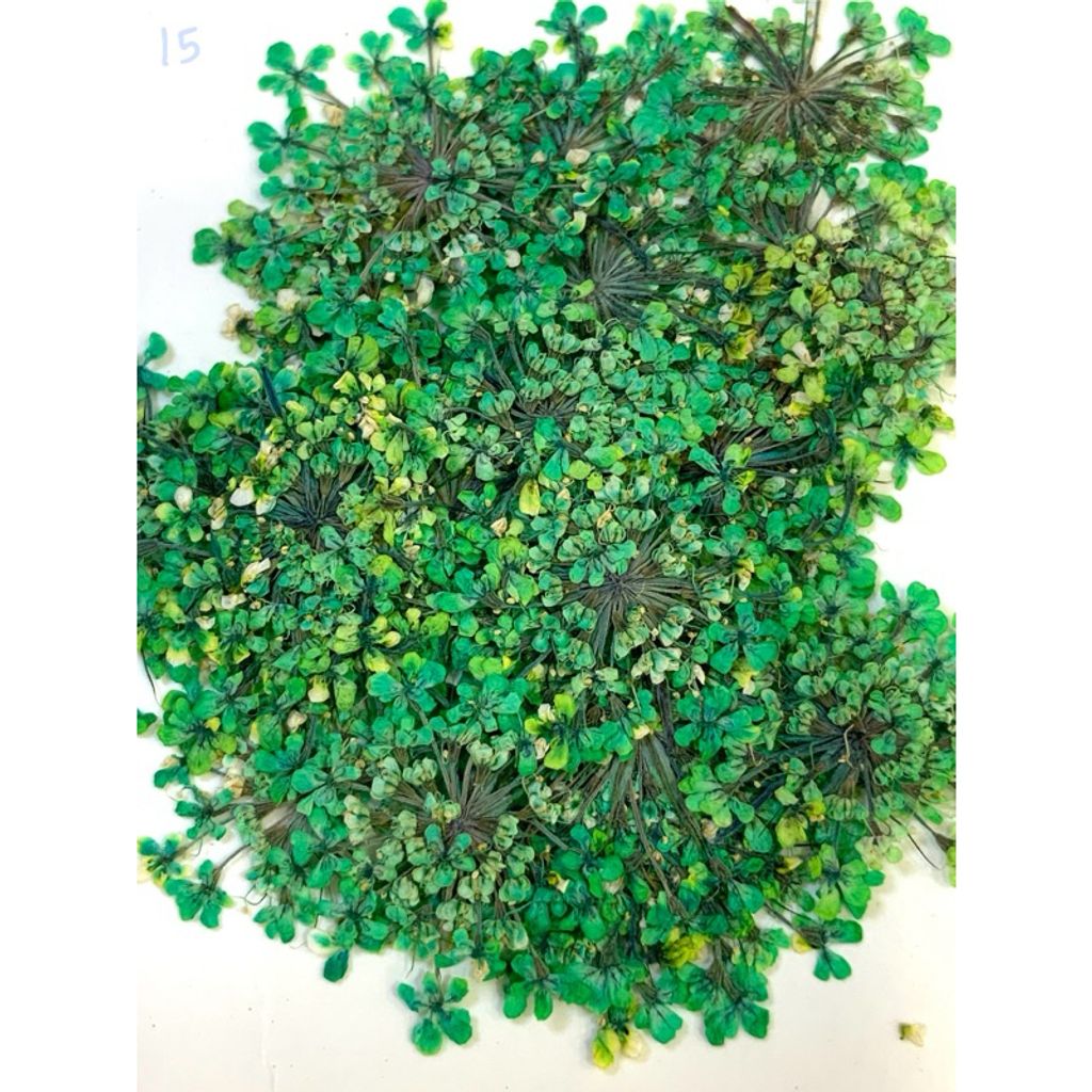 tw-11134207-7r992-lv1ghc94kobt3f