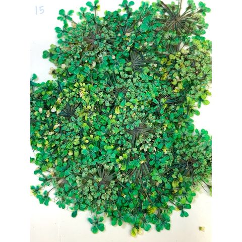 tw-11134207-7r992-lv1ghc94kobt3f