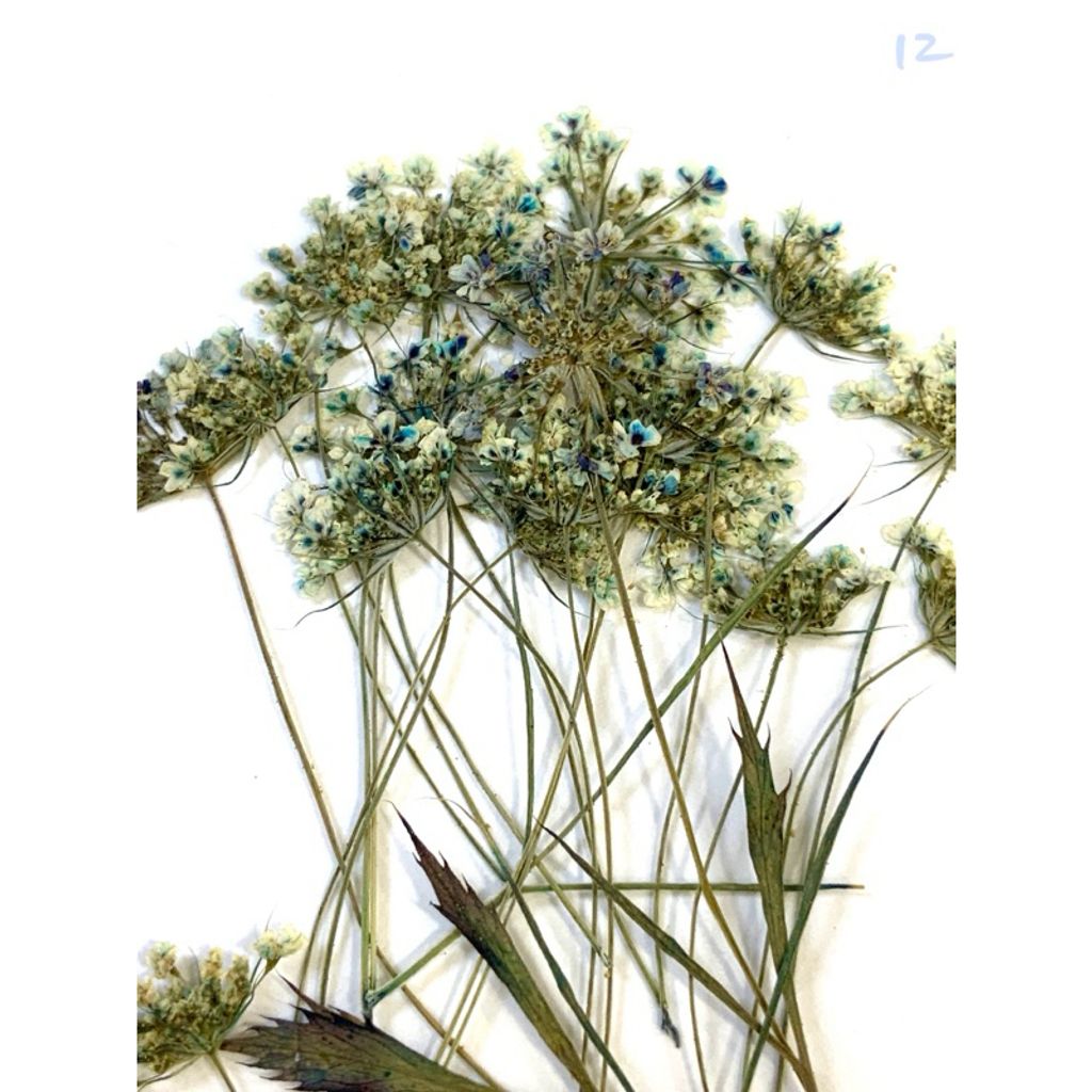 tw-11134207-7r98p-lv1ghce4ddrs05