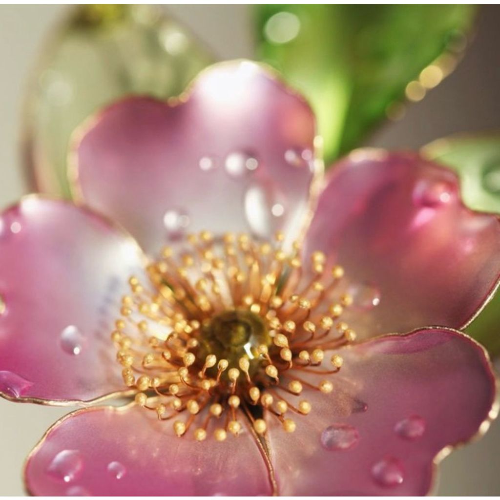 tw-11134207-7r98s-lz2xxz5v410ea5