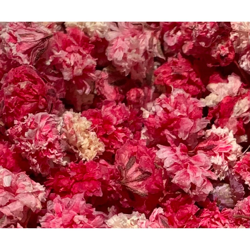 tw-11134207-7r98x-lvvfit4jlc12cd