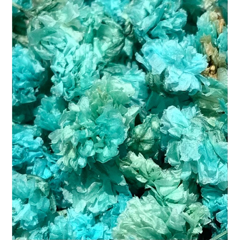 tw-11134207-7r98v-lvvfit35nd4699