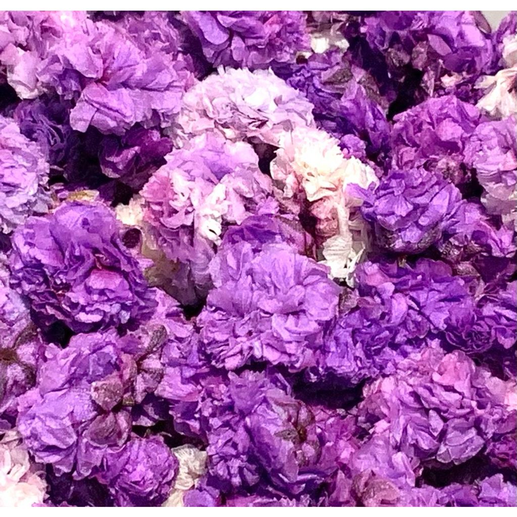 tw-11134207-7r98y-lvvfqc82wu9261