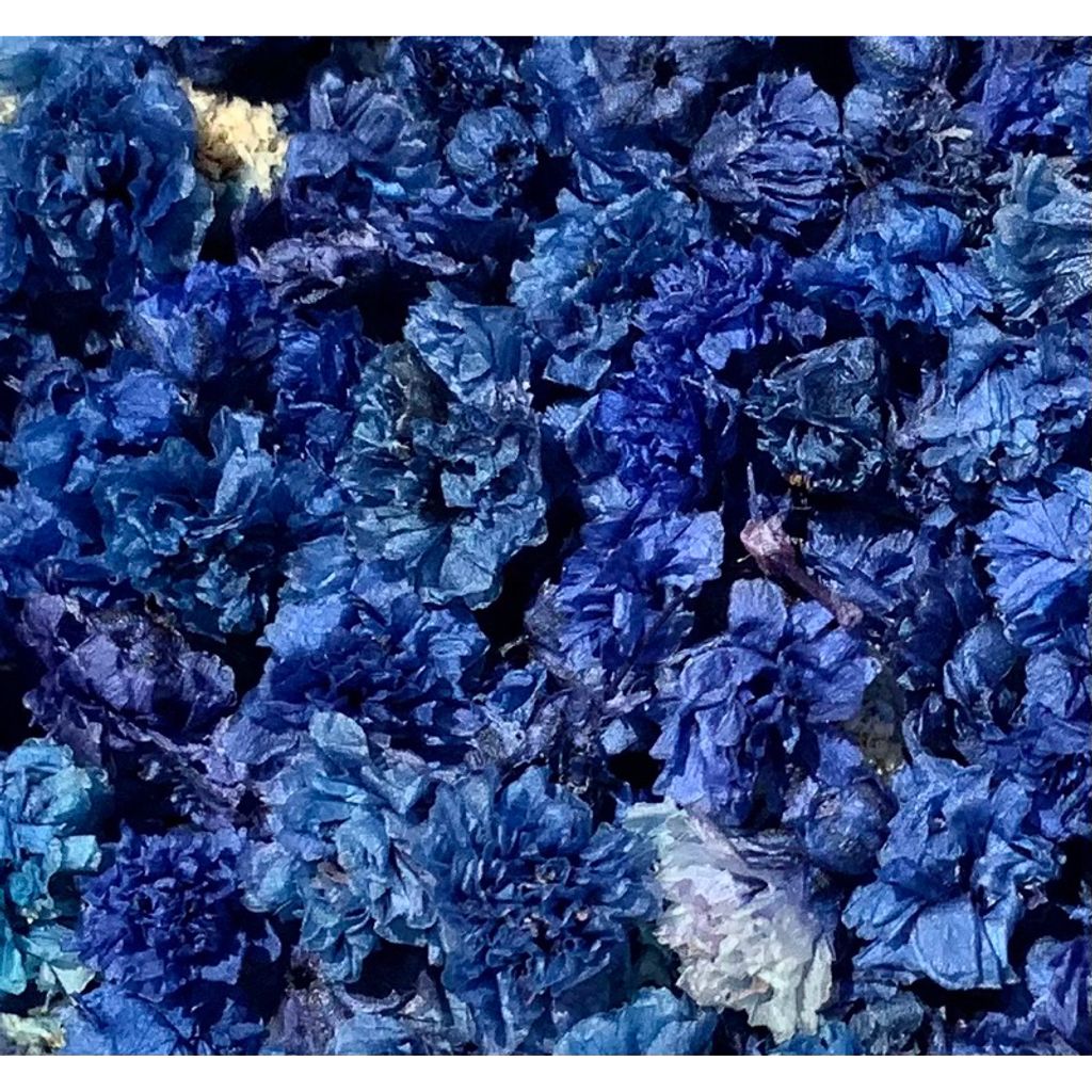 tw-11134207-7r98o-lvvfqc82vfomd7