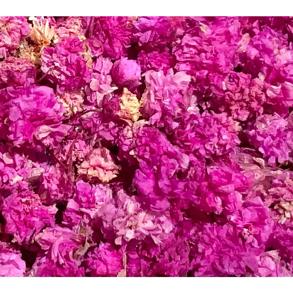 tw-11134207-7r990-lvvfit4jjxgm6d