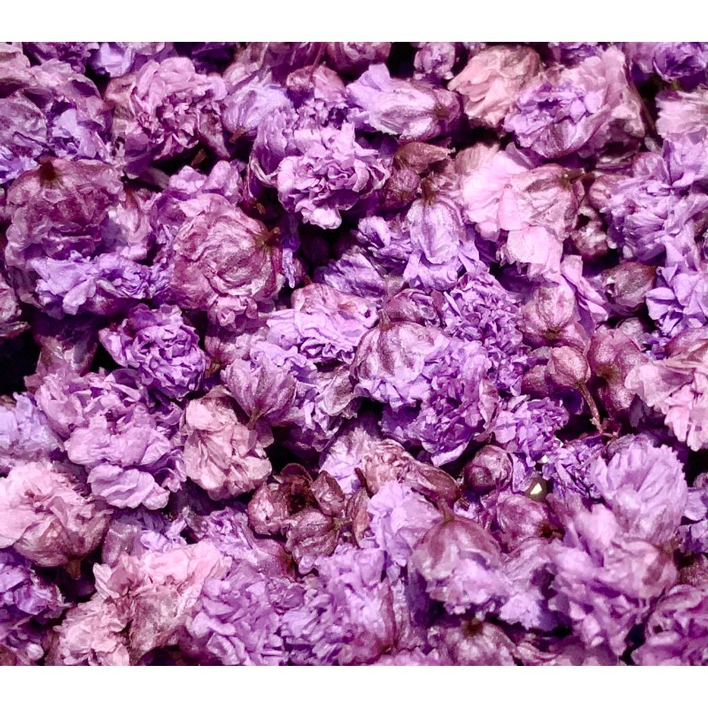 tw-11134207-7r98z-lvvfts4vjlf498