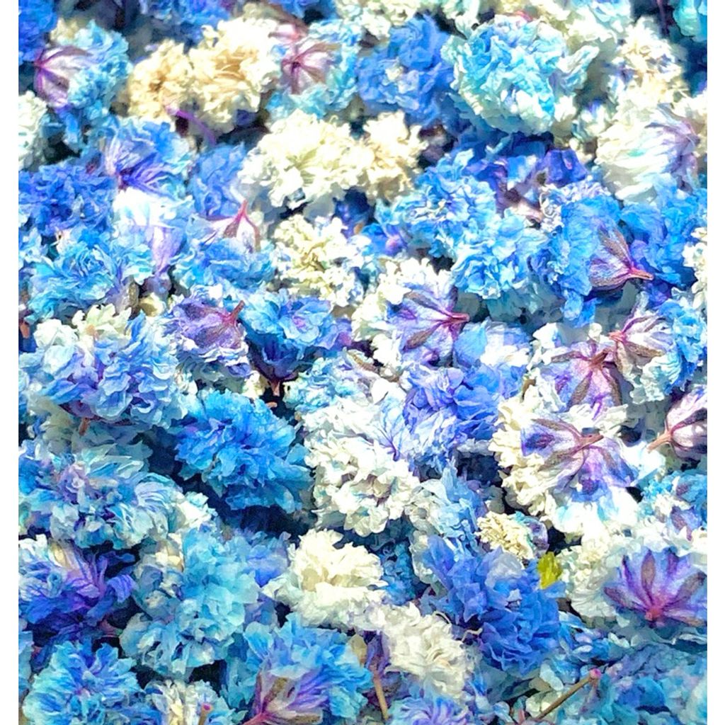 tw-11134207-7r98u-lvvfit2bn6ee1b