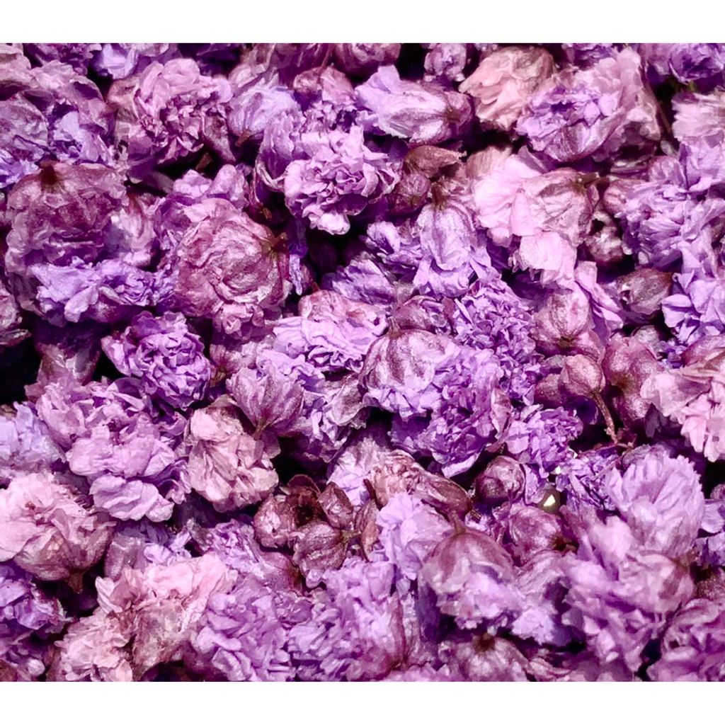 tw-11134207-7r98s-lvvfit35lyjq04